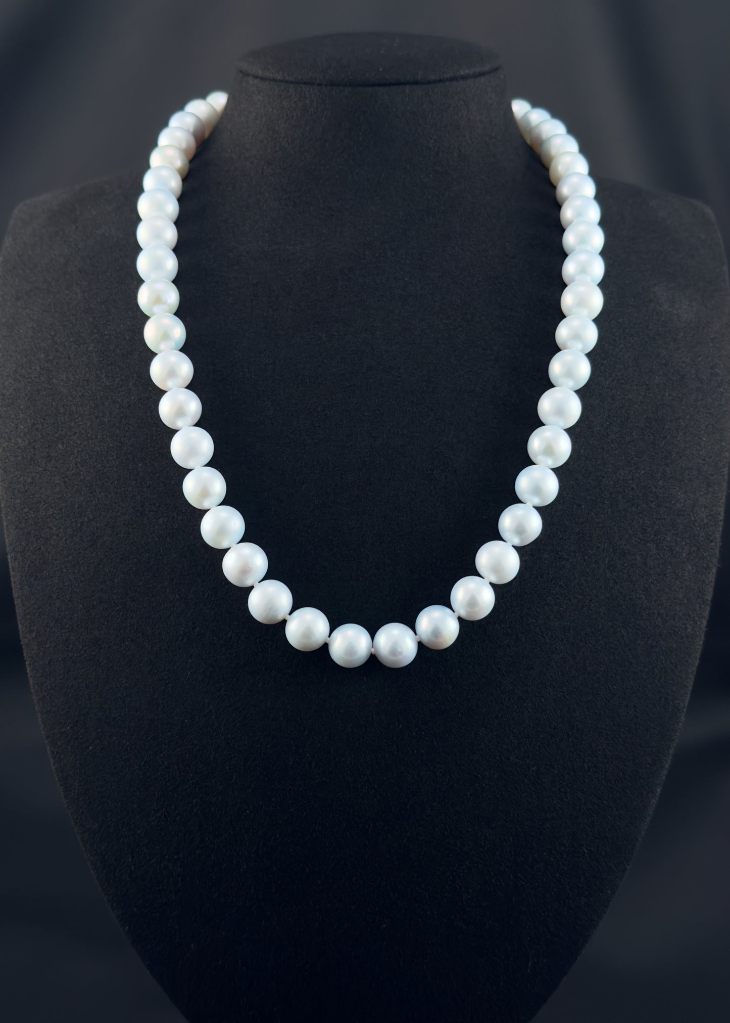 Cultured, South Sea blue pearl strand necklace, exhibited on black suede, excellent reflection, 10mm, 20", white gold clasp.