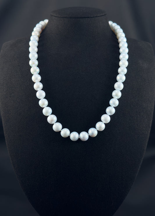 Cultured, South Sea blue pearl strand necklace, exhibited on black suede, excellent reflection, 10mm, 20", white gold clasp.
