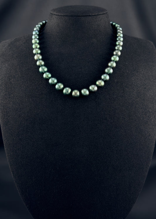 Cultured, Tahitian, green pearl strand necklace, exhibited on black suede, sound reflection, 9-9.5mm, 16", yellow gold clasp.