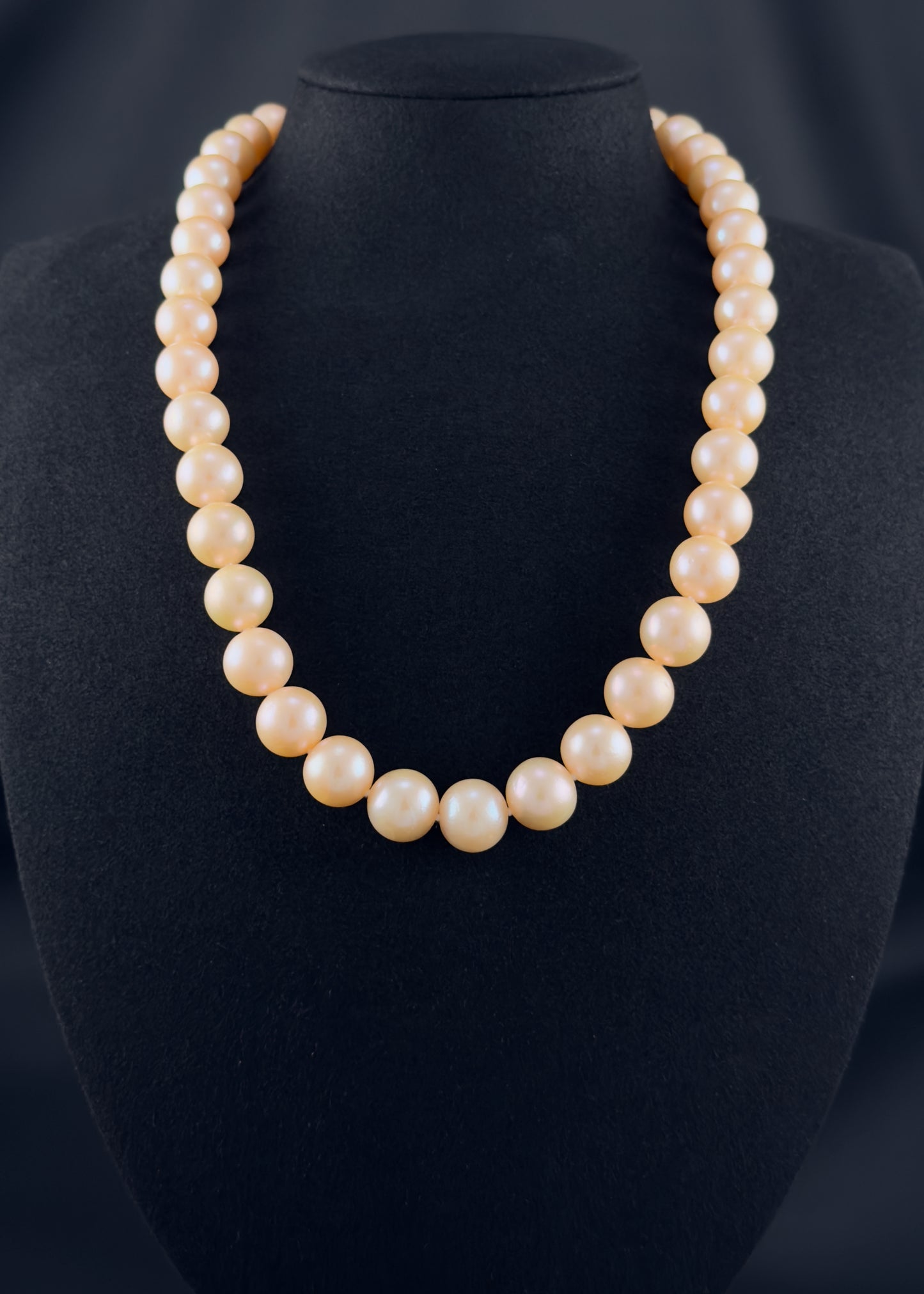 Cultured, South Sea, beige pearl necklace, exhibit on black suede, sound reflection, 10-12.5mm, 20", yellow gold clasp.