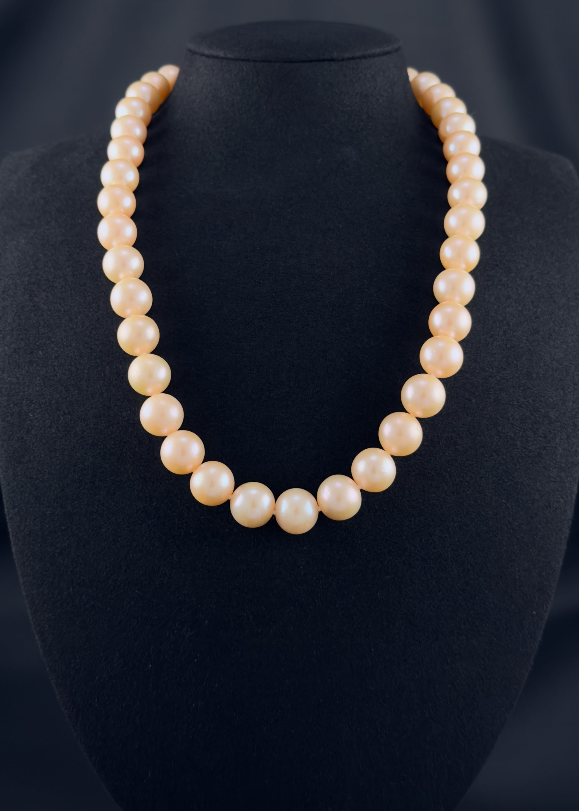 Cultured, South Sea, beige pearl necklace, exhibit on black suede, sound reflection, 10-12.5mm, 20", yellow gold clasp.