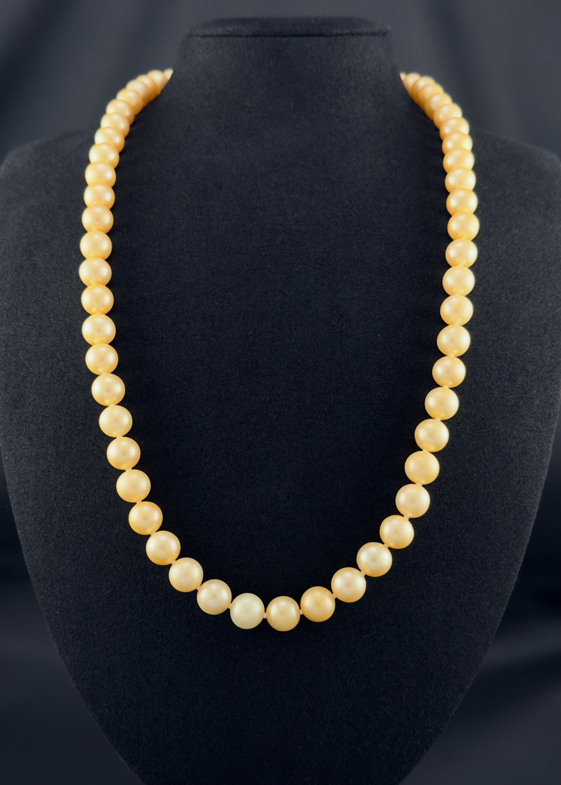 Cultured, South Sea, golden pearl continuous strand necklace, exhibited on black suede, fair reflection, 8.5-10mm, 23.5", no clasp.