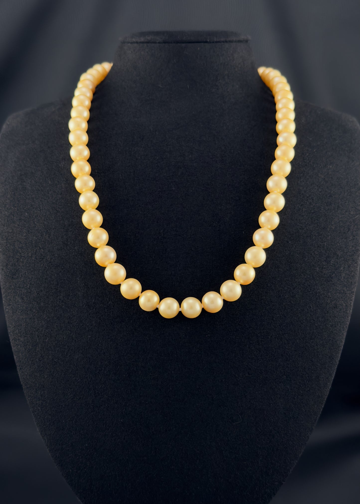 Cultured, South Sea golden pearl necklace, exhibited on black suede, fair to sound reflection, 8.5-10mm, 20", yellow gold clasp.