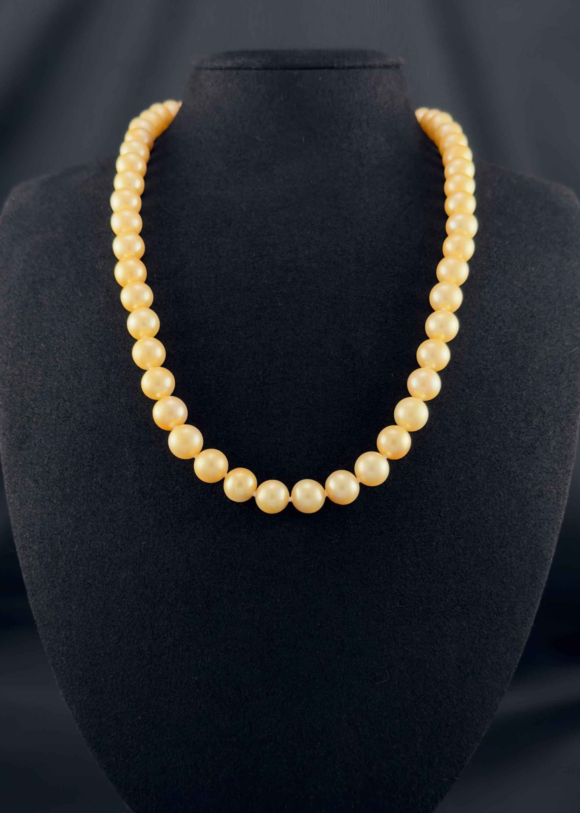 Cultured, South Sea golden pearl necklace, exhibited on black suede, fair to sound reflection, 8.5-10mm, 20", yellow gold clasp.
