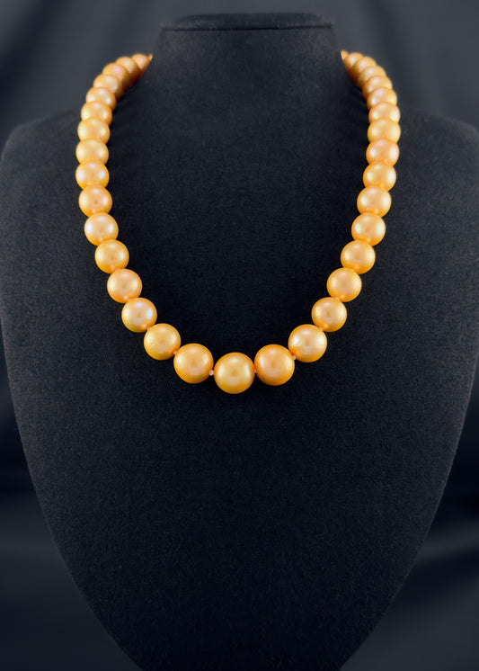 Cultured, South Sea deep-gold pearl strand necklace, exhibited on black suede, excellent reflection, 11-14mm, 20", yellow gold clasp.
