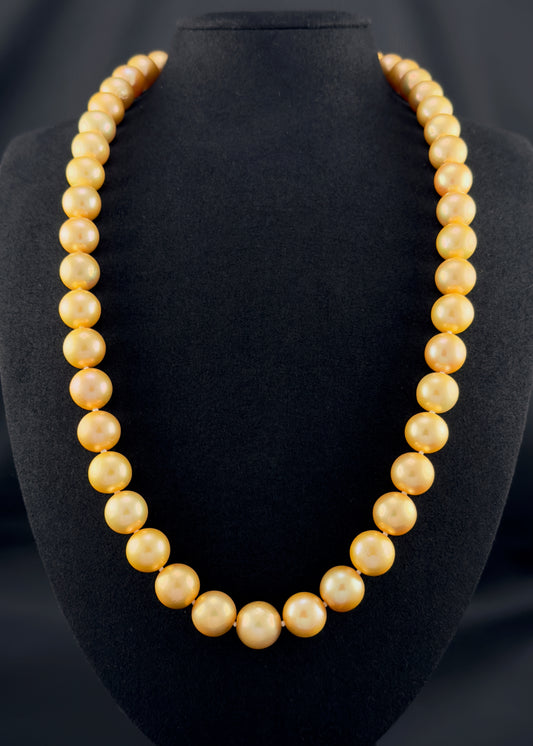 Cultured, South Sea, deep gold pearl continuous strand necklace, exhibited on black suede, excellent reflection, 12-13.5mm, 23", no clasp.