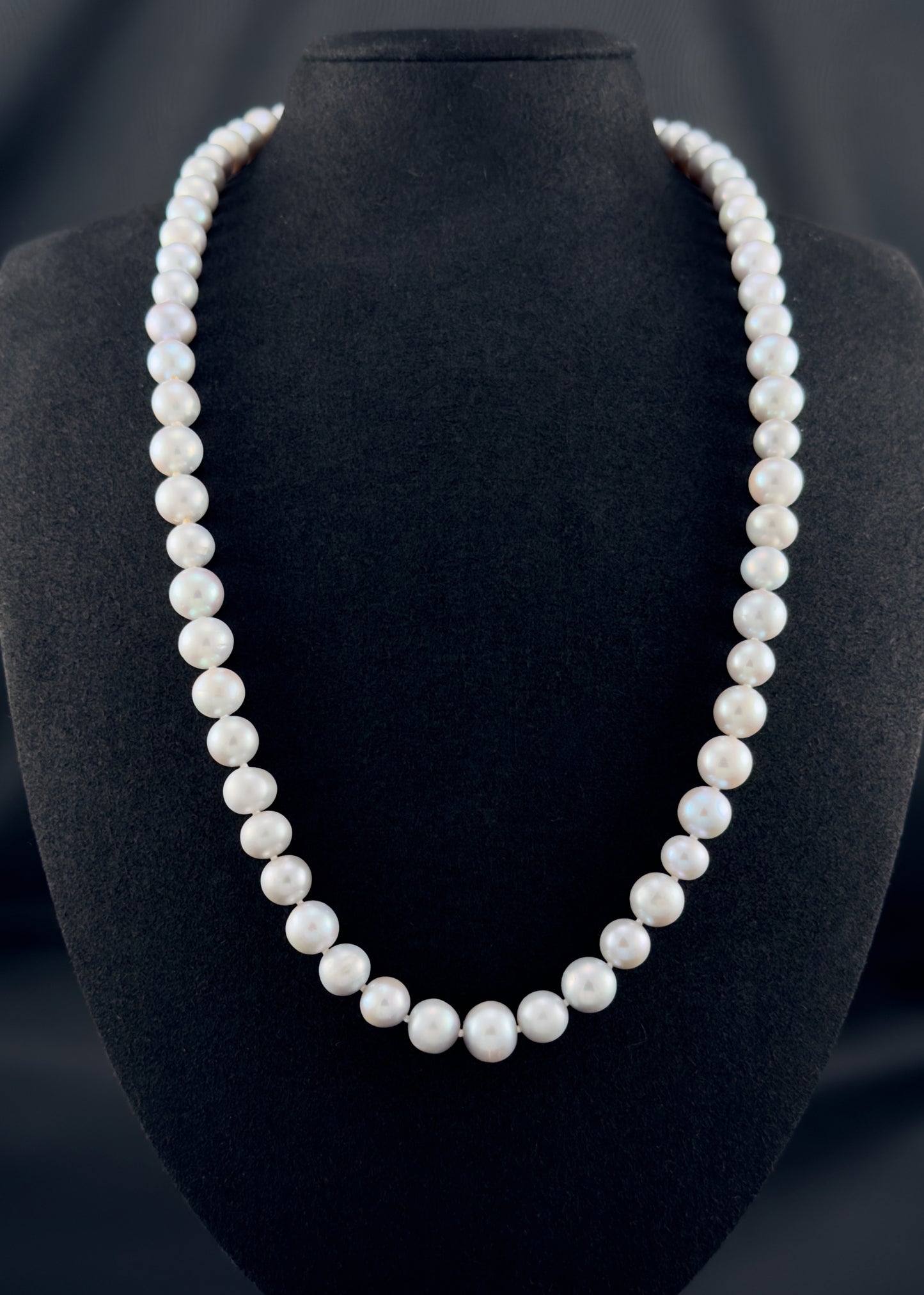 Cultured, South Sea soft grey pearl continuous strand necklace, exhibited on black suede, fair reflection, 9-10mm, 24", no clasp.