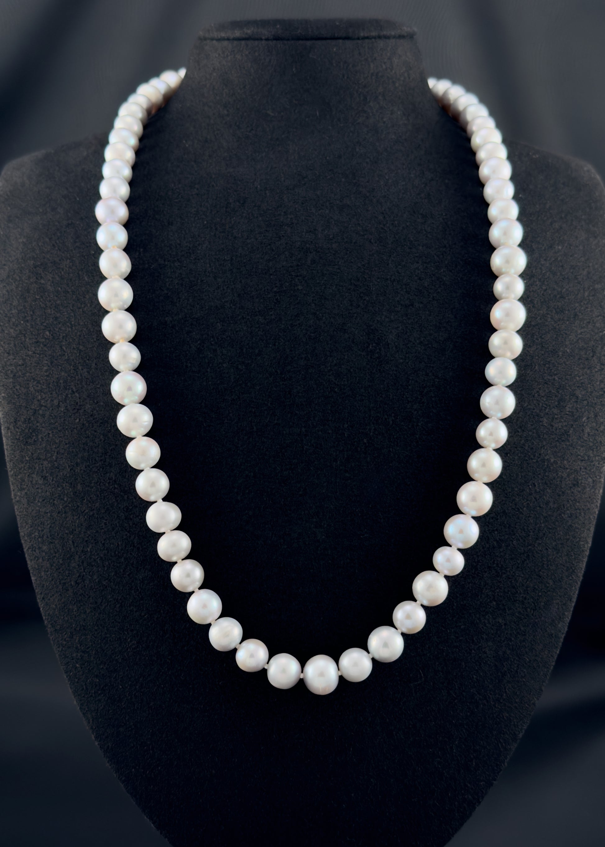 Cultured, South Sea soft grey pearl continuous strand necklace, exhibited on black suede, fair reflection, 9-10mm, 24", no clasp.