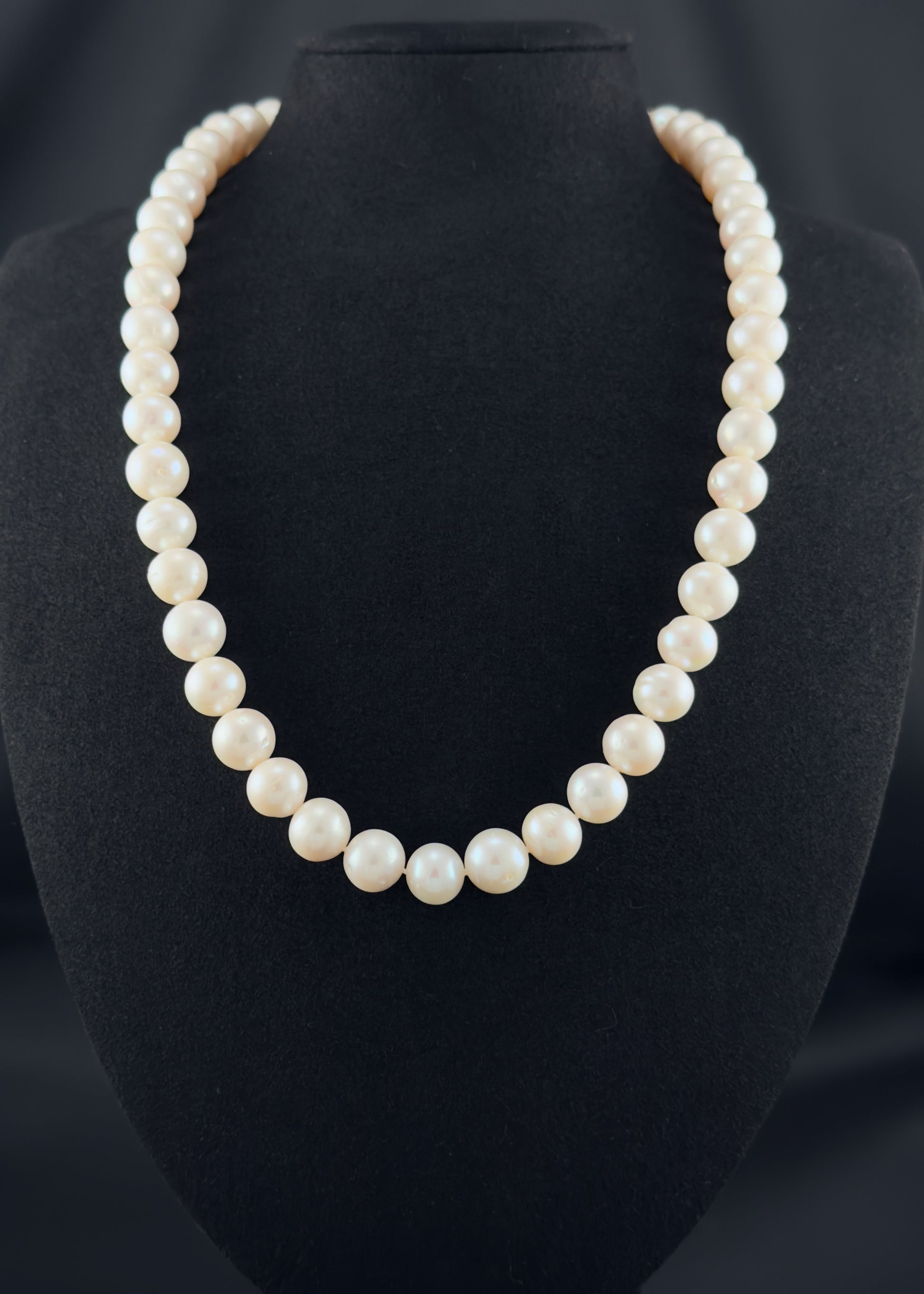 Cultured, South Sea, white pearl continuous strand necklace, exhibited on black suede, fair reflection, 10-11mm, 21.5", no clasp.