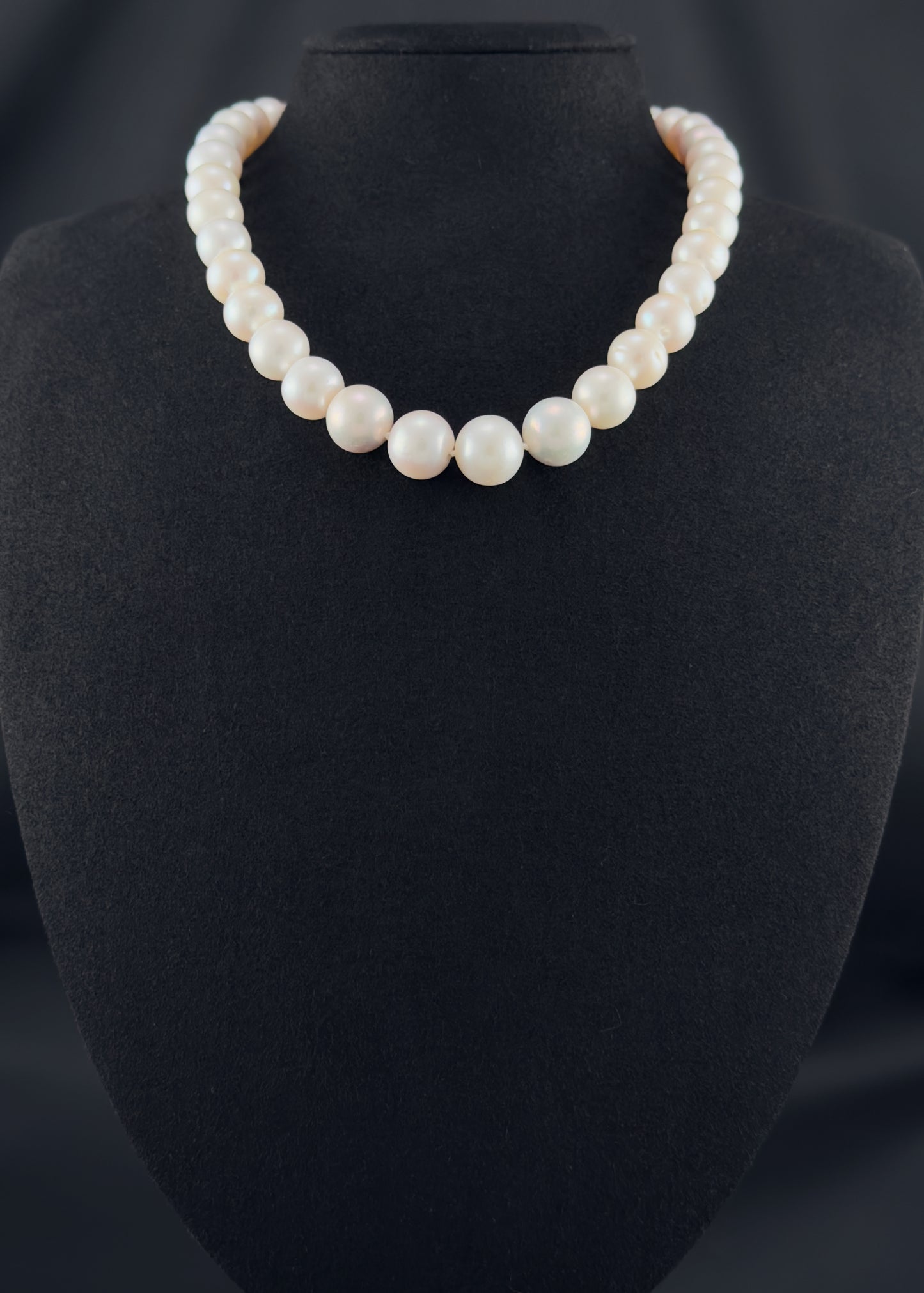 Cultured, South Sea white pearl strand necklace, exhibited on black suede, fair reflection, 9.5-12.5mm, 16", sterling silver clasp.
