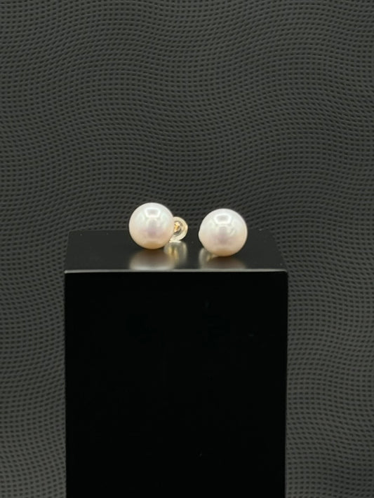 Cultured, South Sea, pearl earrings, exhibited on black box, white, stud style, excellent reflection, 11mm, 18k white gold.