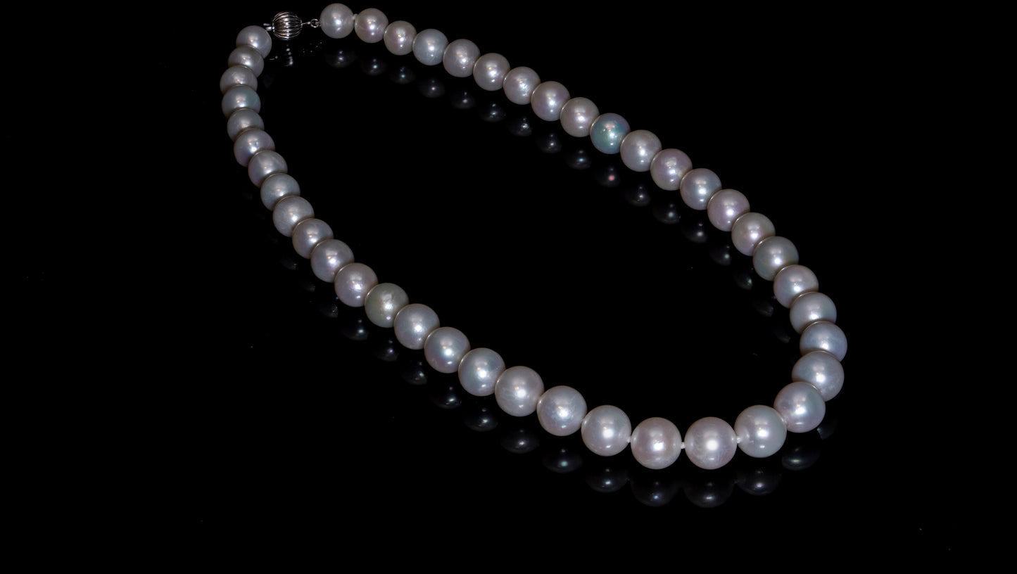 20" South Sea White Pearl Necklace | AAAA Grade | 14K (white-gold) Clasp [cn008]