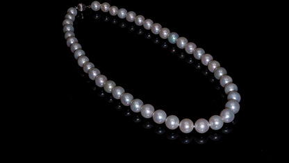 20" South Sea White Pearl Necklace | AAAA Grade | 14K (white-gold) Clasp [cn008]