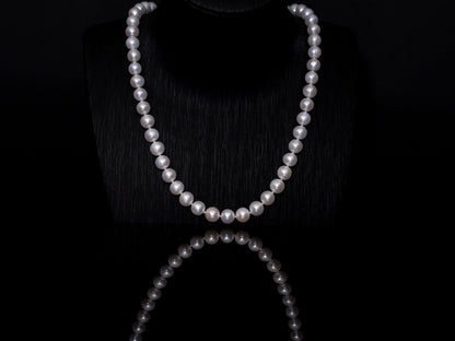 20" South Sea White Pearl Necklace | AAAAA Grade | 14K (white-gold) Clasp [cn089]
