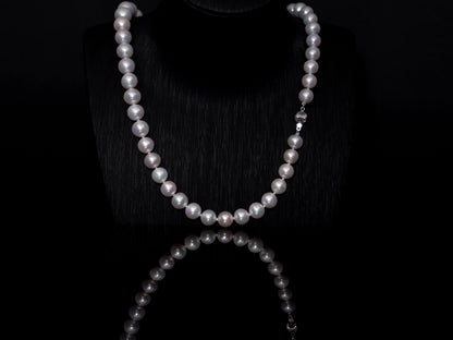 21.5" South Sea White Pearl Necklace | AAAAA Grade | 14K (white-gold) Clasp [cn007]