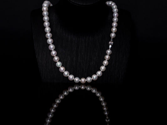 21.5" South Sea White Pearl Necklace | AAAAA Grade | 14K (white-gold) Clasp [cn007]
