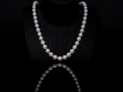 21.5" South Sea White Pearl Necklace | AAAAA Grade | 14K (white-gold) Clasp [cn007]