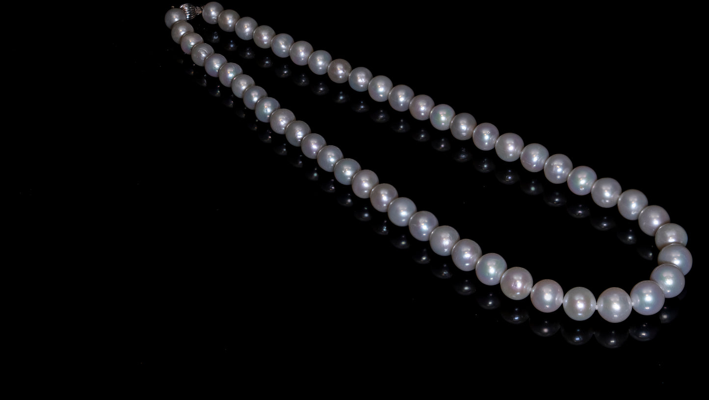 21.5" South Sea White Pearl Necklace | AAAAA Grade | 14K (white-gold) Clasp [cn007]