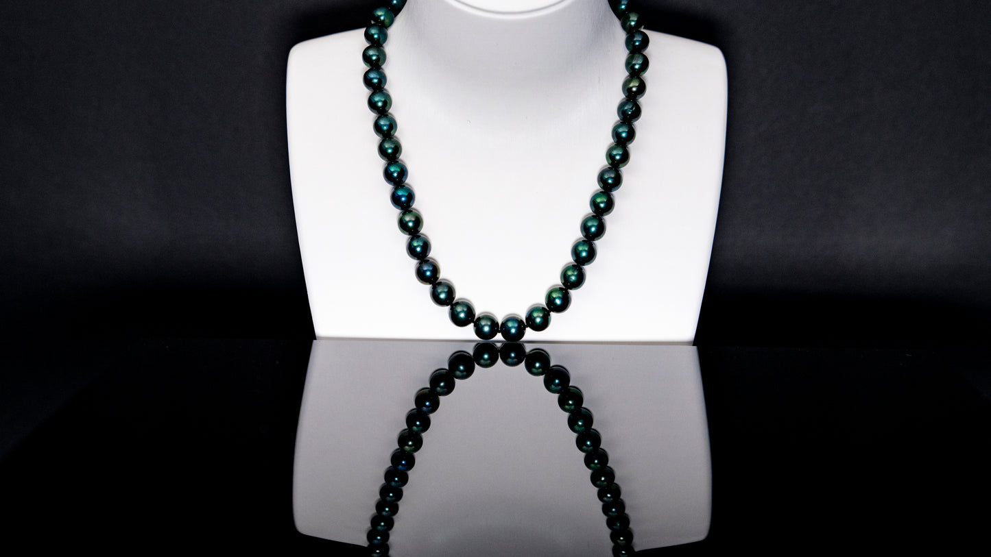 16" Tahitian Dark-Green | AAAAA Grade | 14K [cnT100]