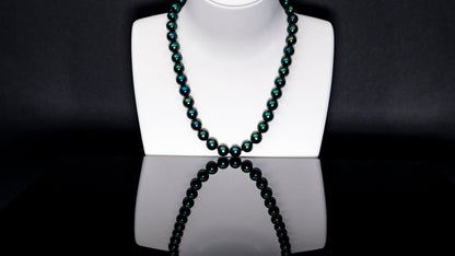 16" Tahitian Dark-Green | AAAAA Grade | 14K [cnT100]