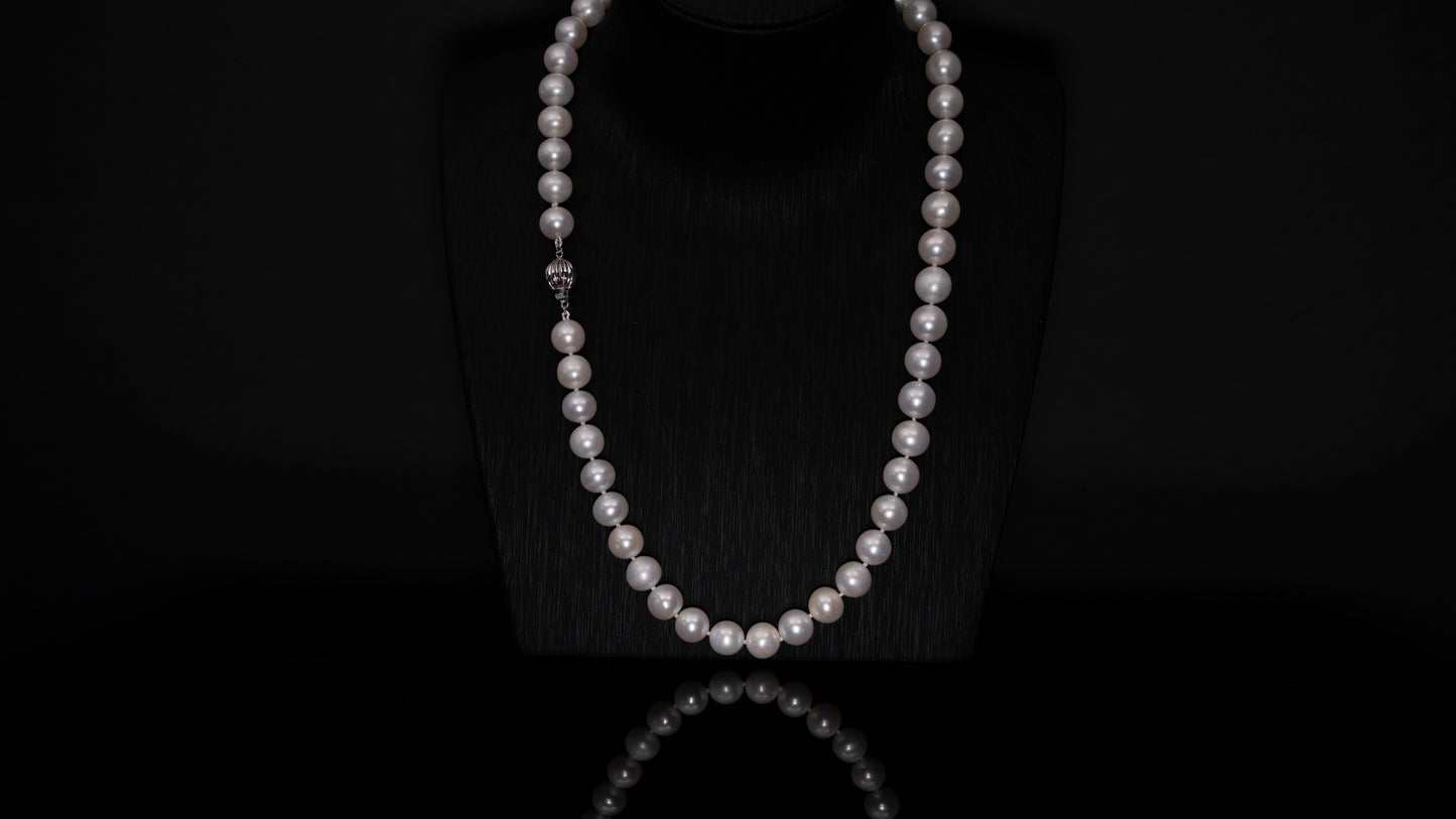 20" South Sea White Necklace | AAAAA | 14k Clasp [cn097]