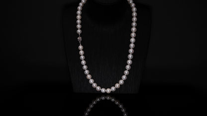 20" South Sea White Necklace | AAAAA | 14k Clasp [cn097]