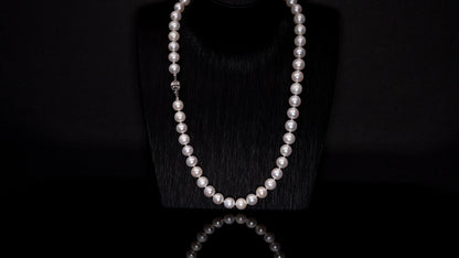 20" South Sea White Necklace | AAAAA | 14k Clasp [cn097]