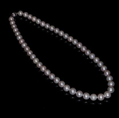 20" South Sea White Necklace | AAAAA | 14k Clasp [cn097]