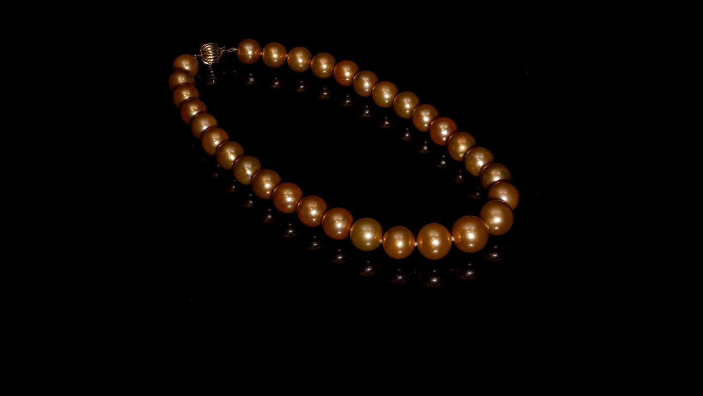 15.5" South Sea Deep-Gold Pearl Necklace | AAAAA Grade | 14K Clasp [cn057]