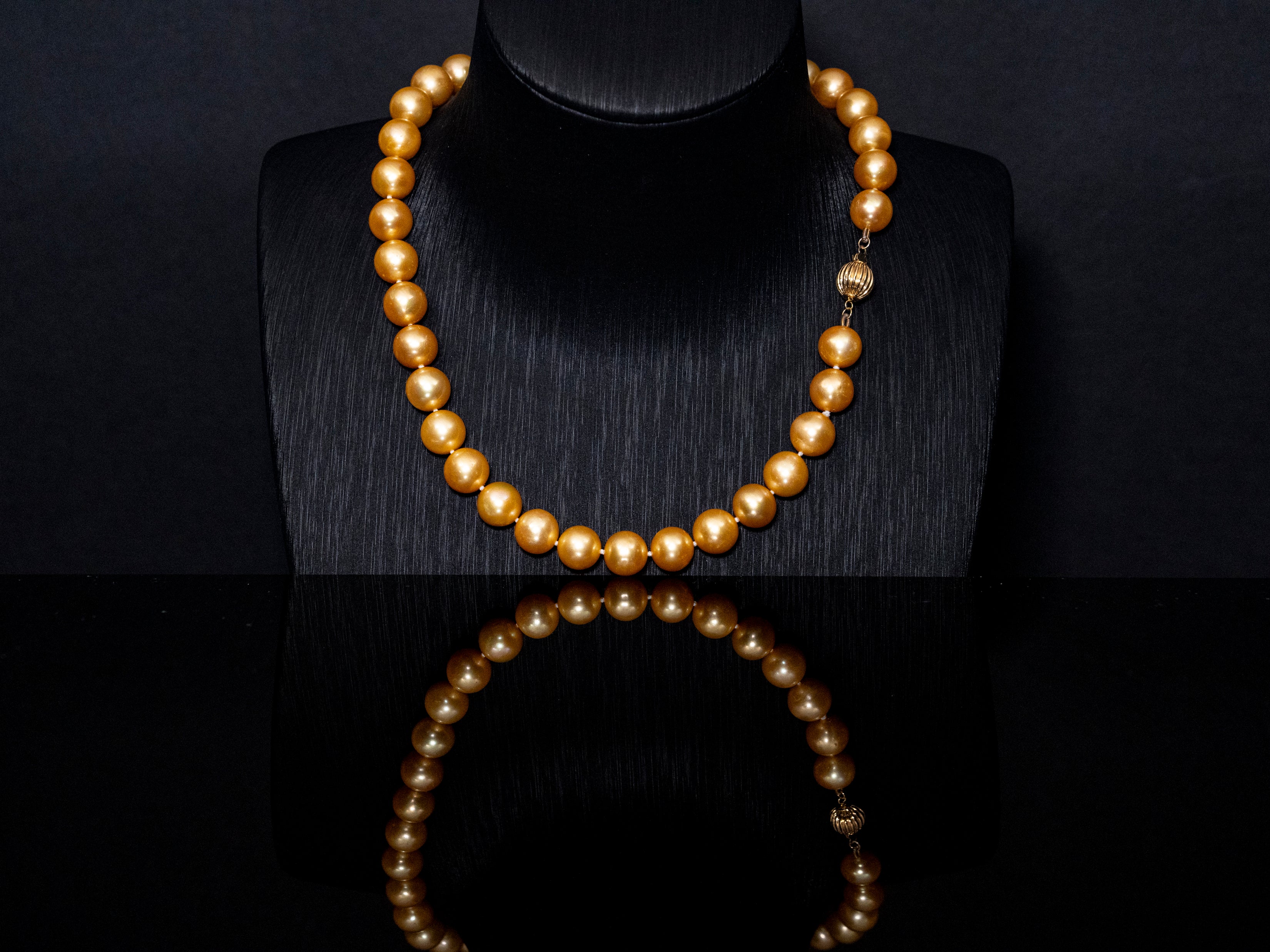16" South Sea Deep-Gold Pearl Necklace | AAAAA Grade | 14K Clasp [cn073]