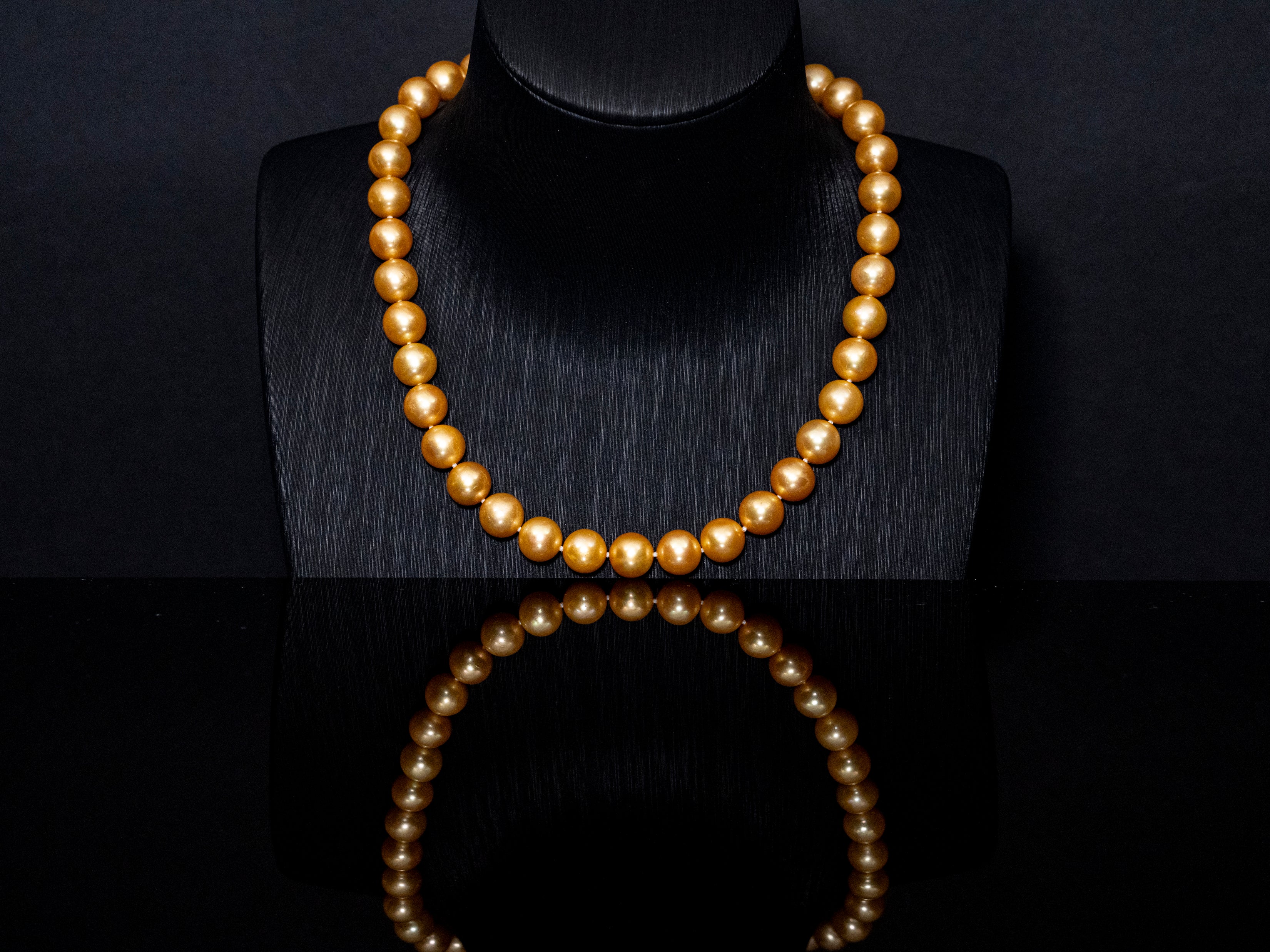16" South Sea Deep-Gold Pearl Necklace | AAAAA Grade | 14K Clasp [cn073]