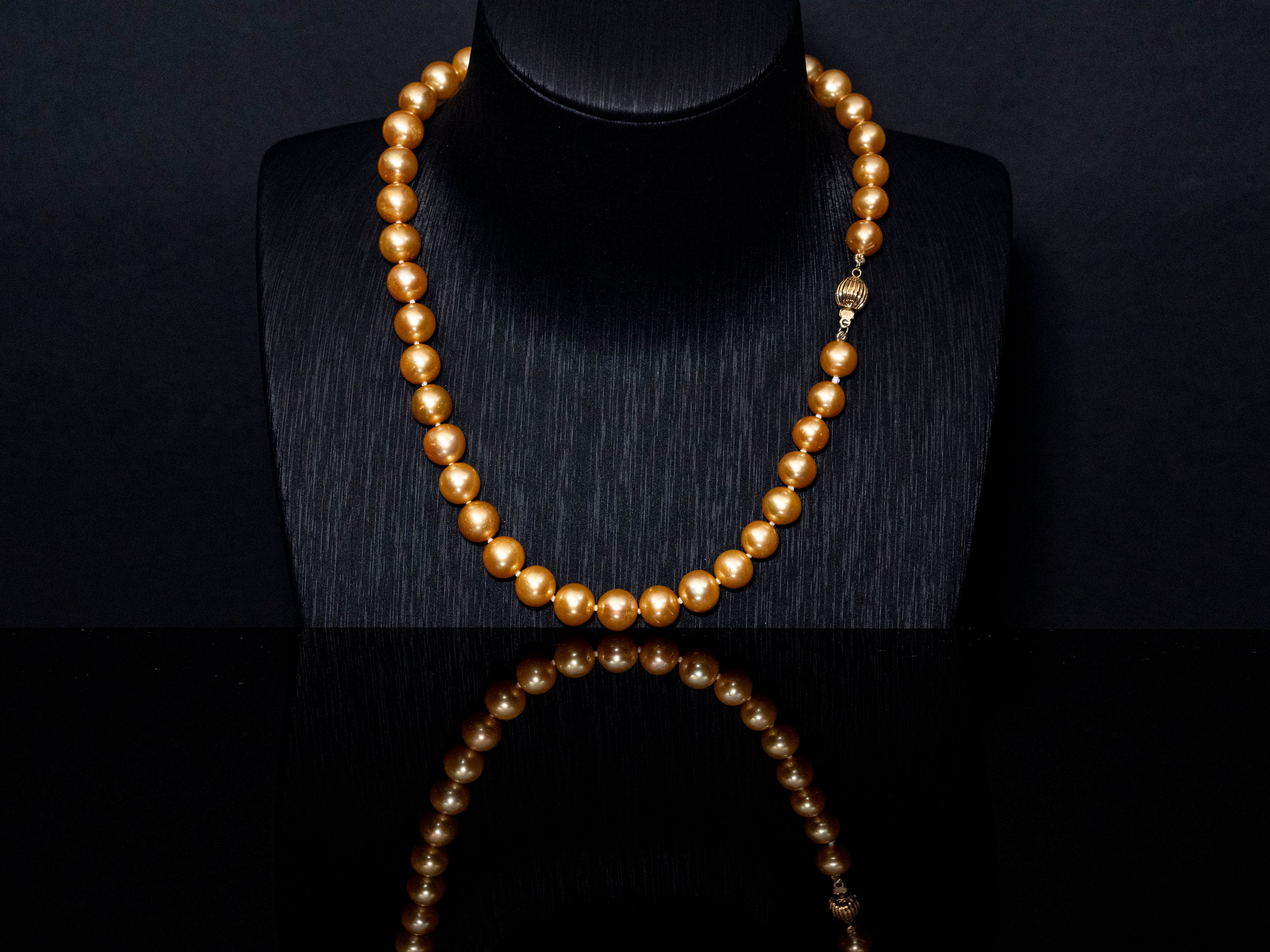 16" South Sea Deep-Gold Pearl Necklace | AAAAA Grade | 14K Clasp [cn074]