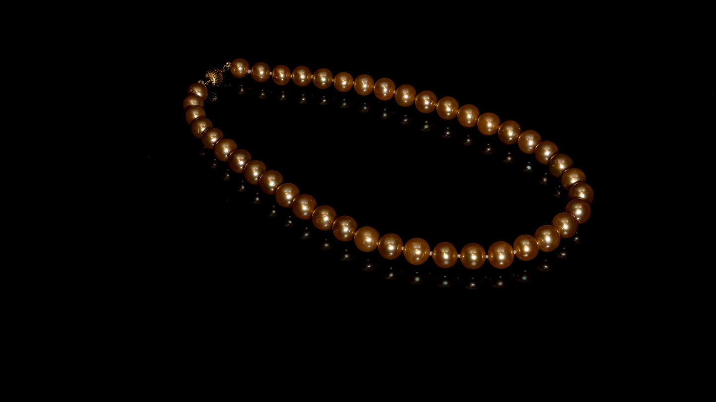 16" South Sea Deep-Gold Pearl Necklace | AAAAA Grade | 14K Clasp [cn074]