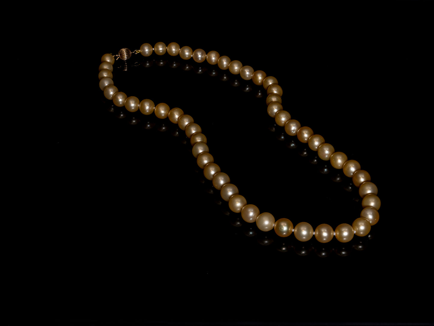 20" South Sea Golden Pearl Necklace | AAA Grade | 14K Clasp [cn054]