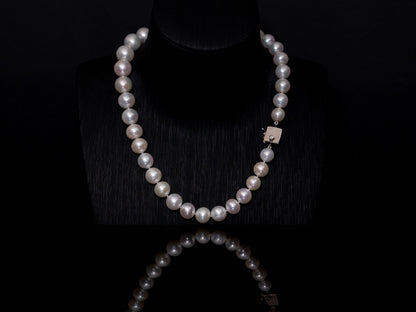 16" South Sea White Pearl Necklace | A Grade | Sterling Silver Clasp | FINAL SALE [cn063]
