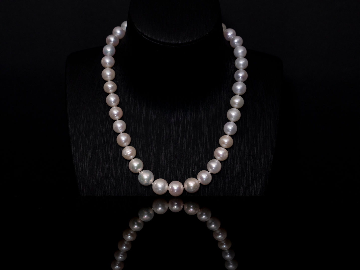 16" South Sea White Pearl Necklace | A Grade | Sterling Silver Clasp | FINAL SALE [cn063]