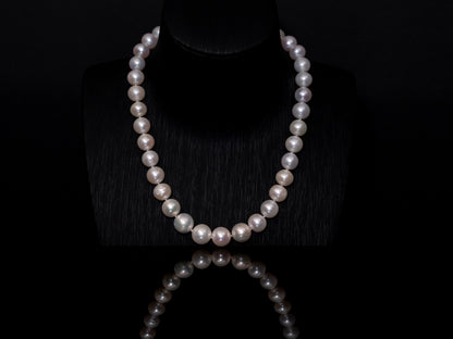 16" South Sea White Pearl Necklace | A Grade | Sterling Silver Clasp | FINAL SALE [cn063]