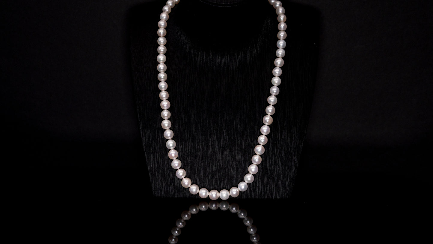 21" South Sea White Necklace | AAAAA Grade | 14K Clasp [cn065]