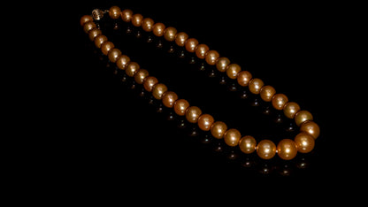20" South Sea Deep-Gold Pearl Necklace | AAAAA Grade | 14K Clasp [cn058]