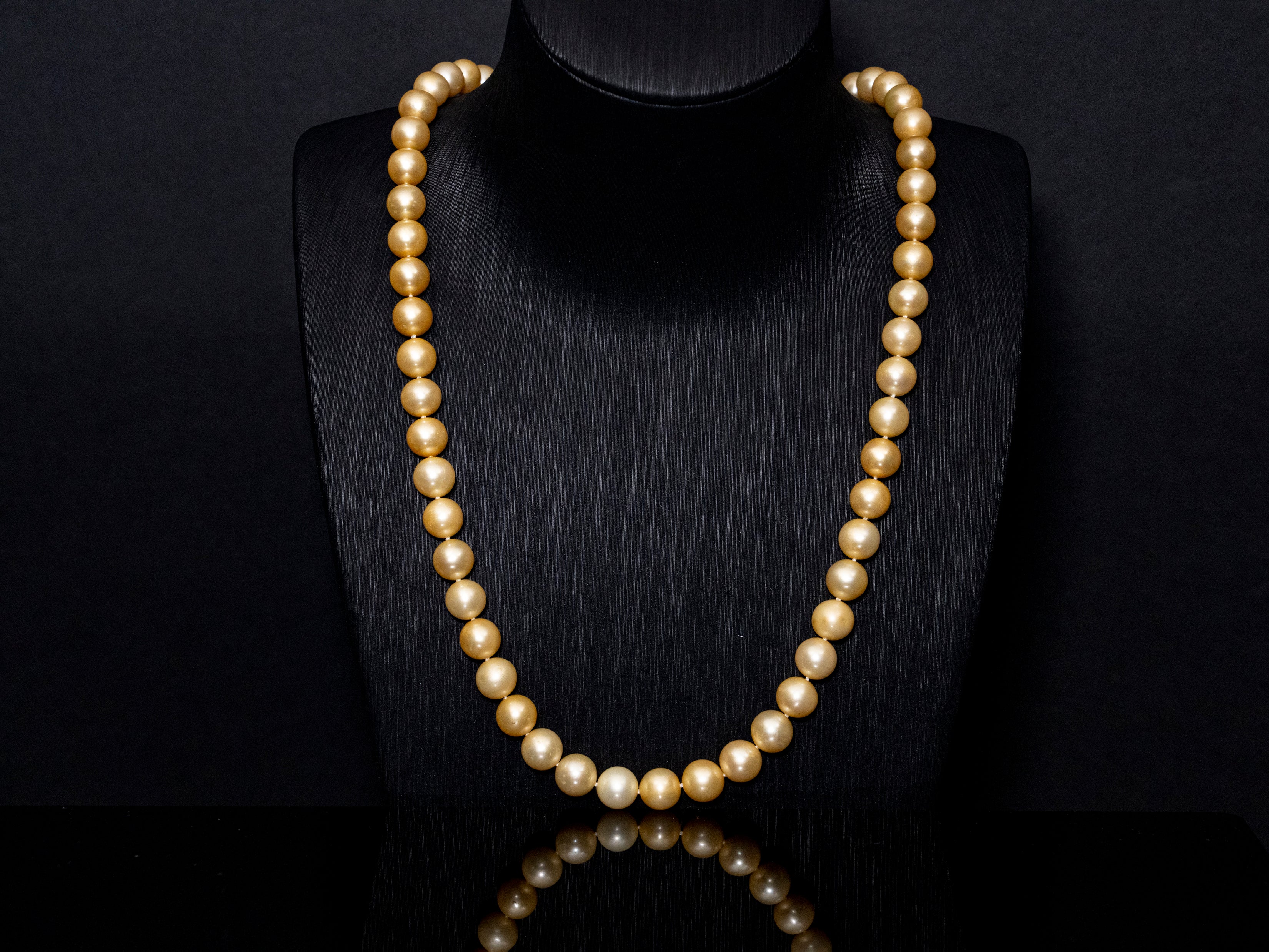 23" South Sea Golden Pearl Necklace | AAA Grade | 14K [cn053]
