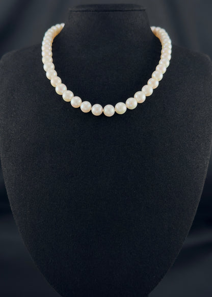 Cultured, South Sea white pearl necklace, exhibited on black suede, 9-10.mm, 16", white gold clasp.