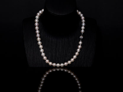 16" South Sea White Necklace | AAAA Grade | 14K (white-gold) Clasp [cn069]