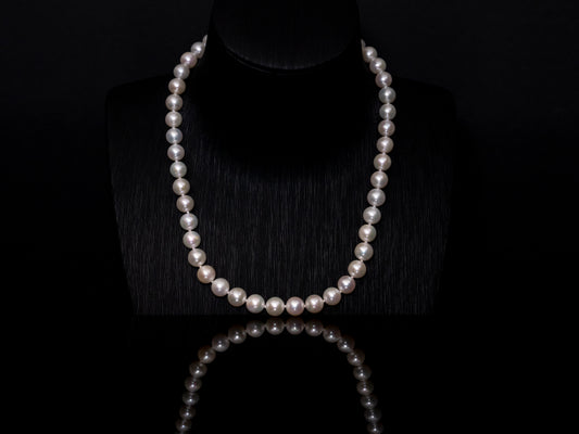 16" South Sea White Necklace | AAAA Grade | 14K (white-gold) Clasp [cn069]