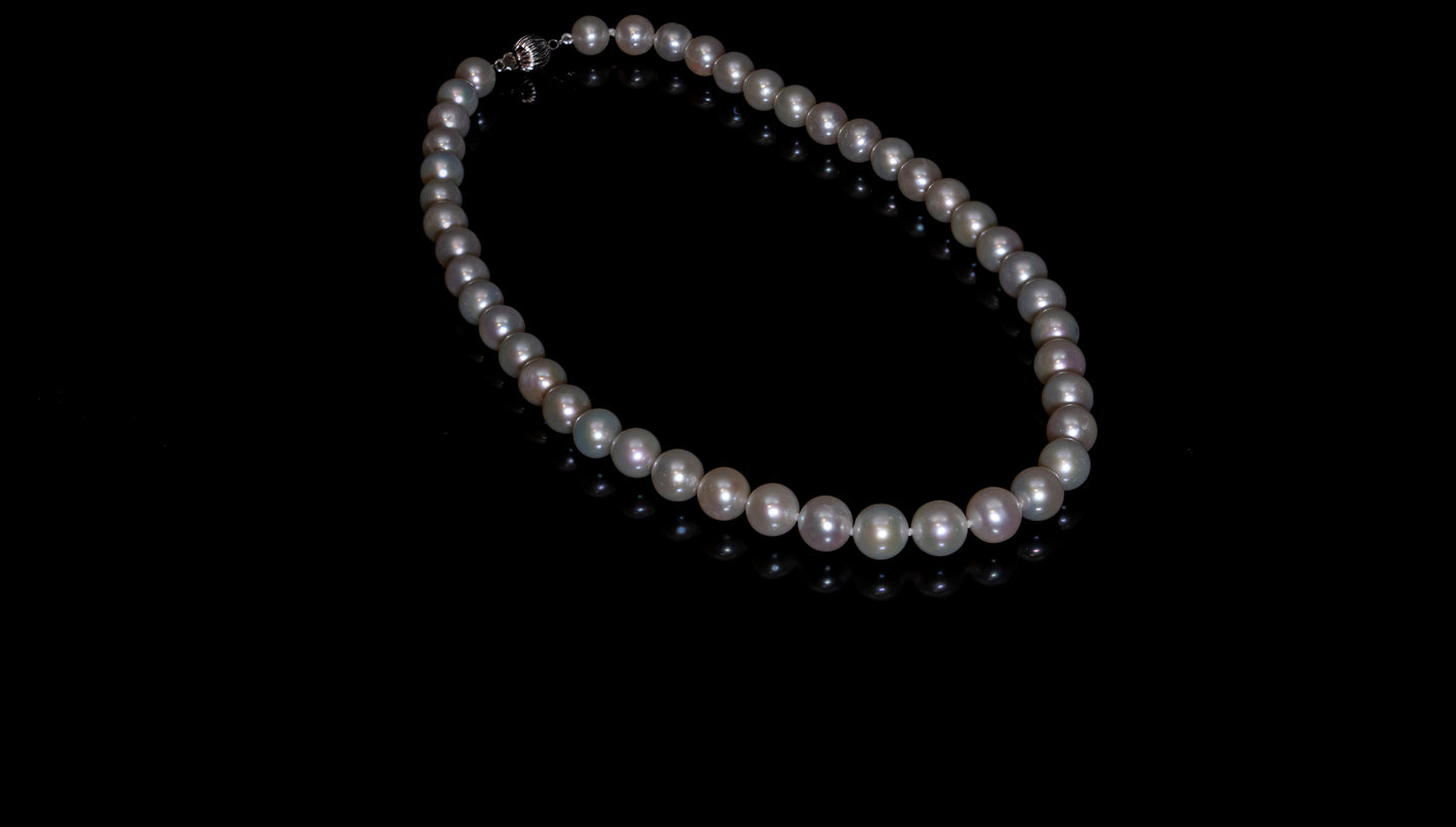 16" South Sea White Necklace | AAAA Grade | 14K (white-gold) Clasp [cn069]