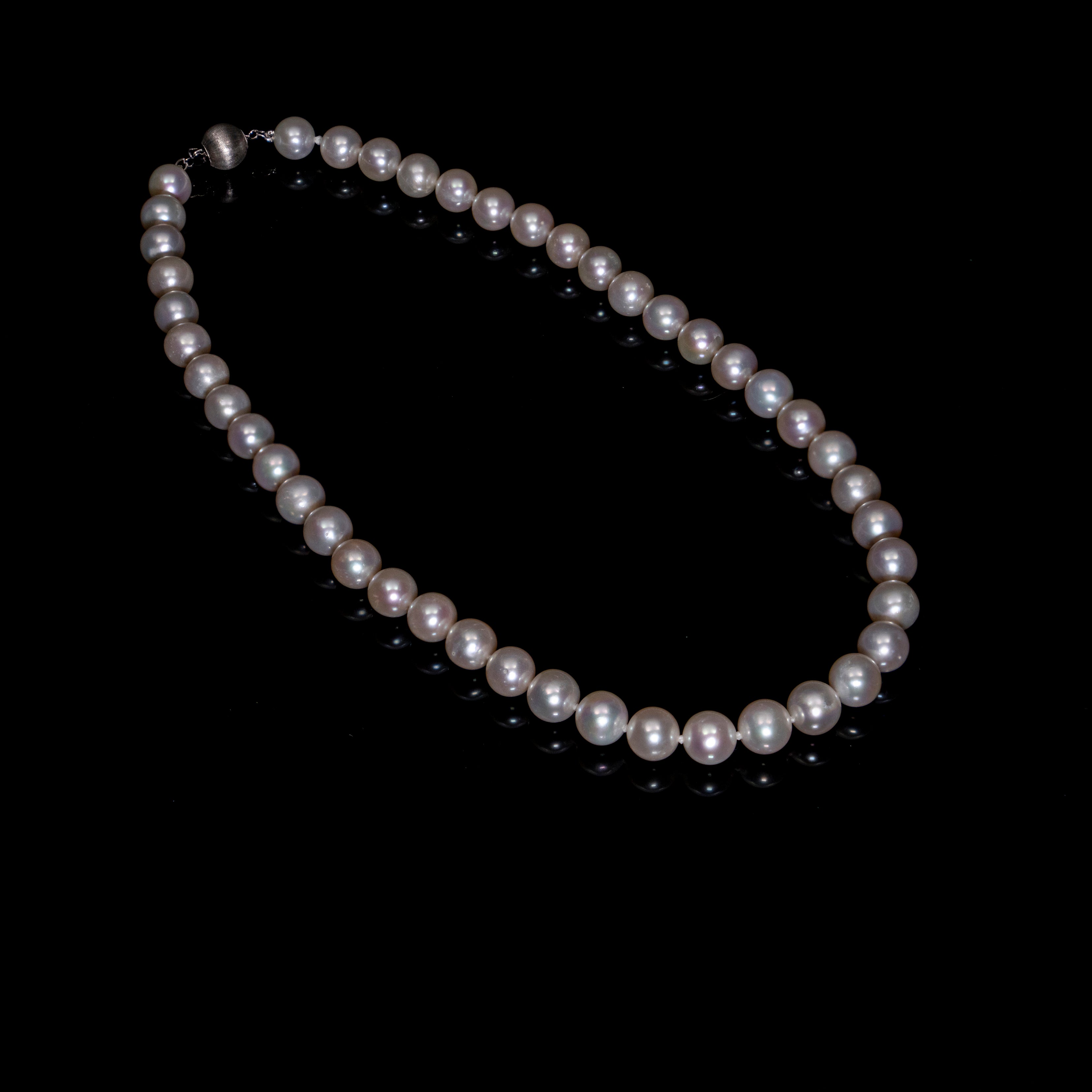 16"  South Sea White Pearl Necklace | AAA Grade  | 14k Notable Clasp [cnc01]