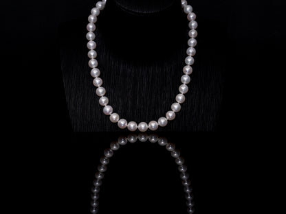16" AAAAA South Sea White Pearl Necklace | AAAAA Grade | 14K (yellow-gold) Clasp [cn068]