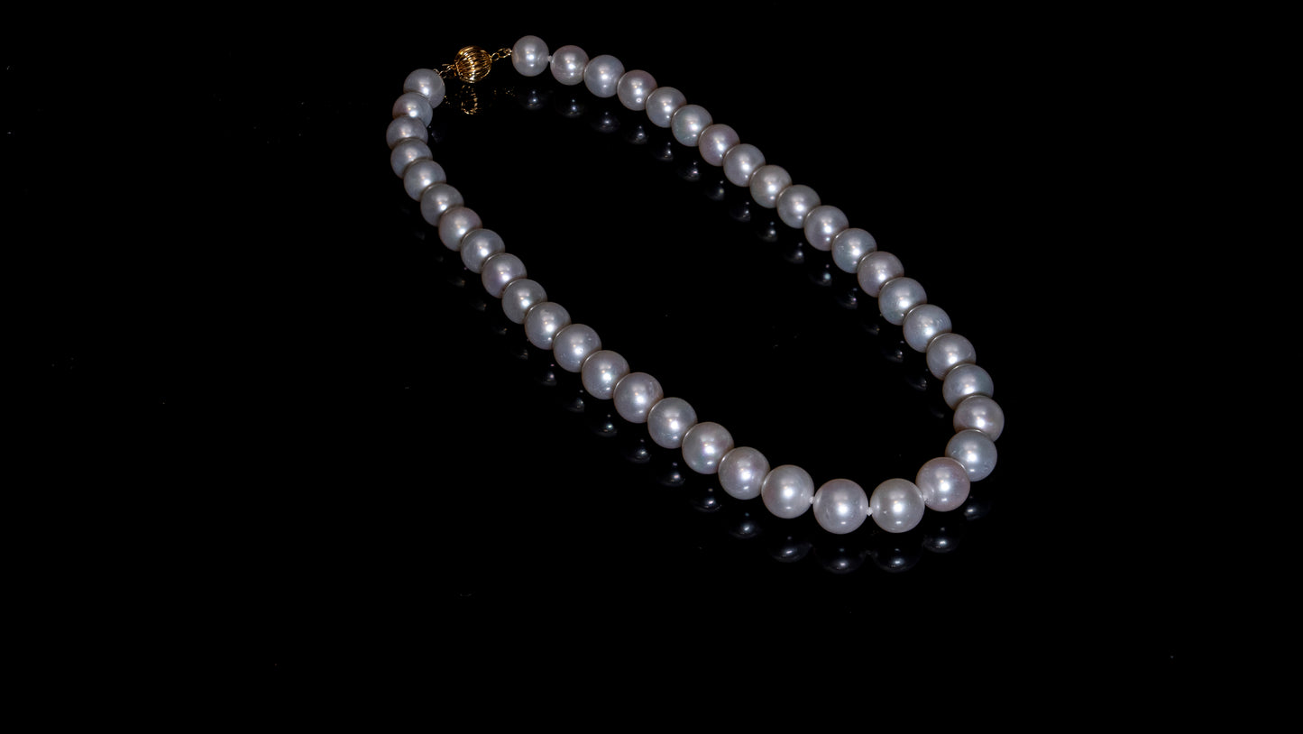 16" AAAAA South Sea White Pearl Necklace | AAAAA Grade | 14K (yellow-gold) Clasp [cn068]