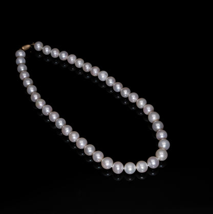 16"  South Sea White Pearl Necklace | AAA Grade  | 14k Notable Clasp [cnc02]