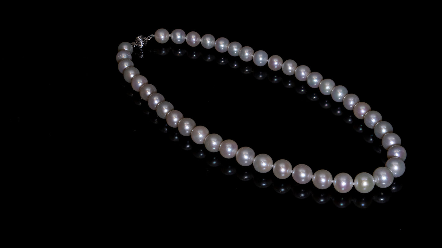 17.5" South Sea White Pearl Necklace | AAAAA Grade | 14K (white-gold) Clasp [cn012]