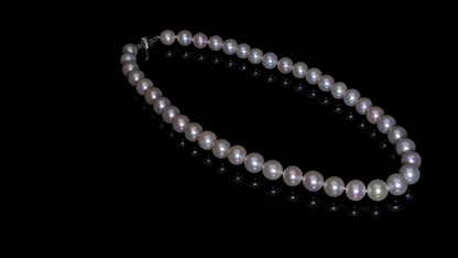 17.5" South Sea White Pearl Necklace | AAAAA Grade | 14K (white-gold) Clasp [cn012]